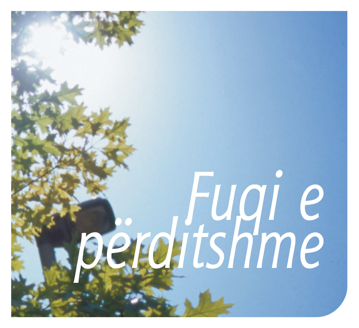 Albanian: Daily Strength