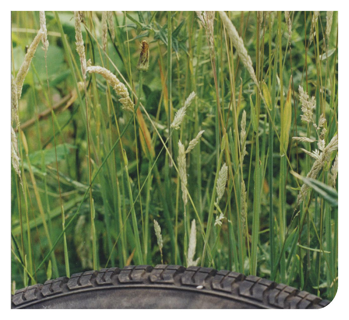 Albanian: Daily Strength