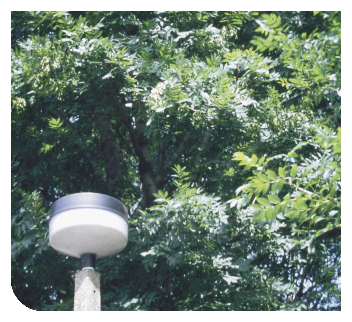 Albanian: Daily Strength