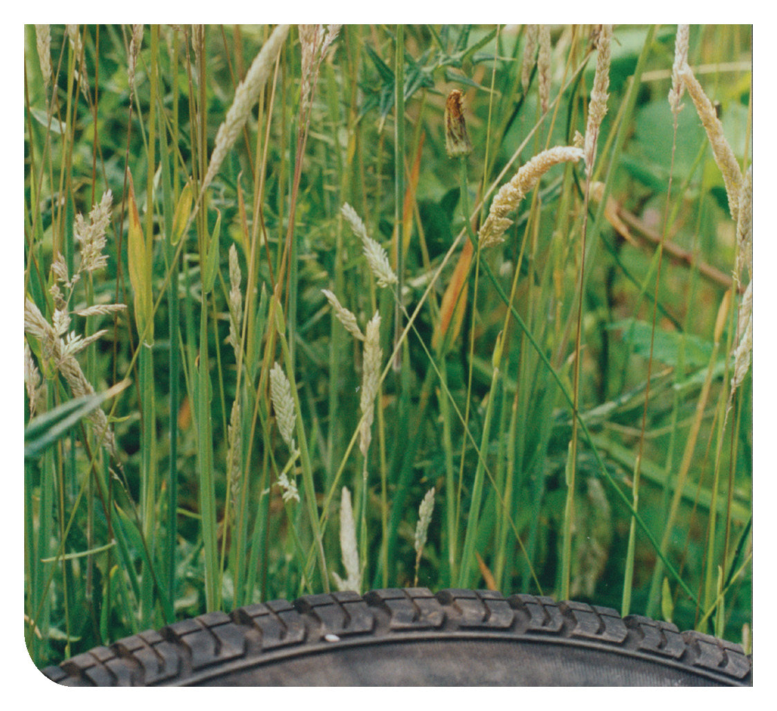 Arabic: Daily Strength