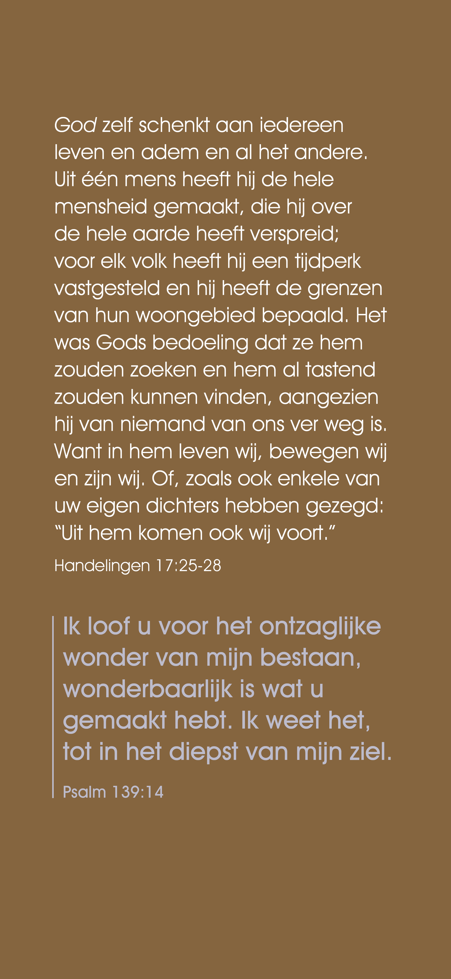 Holandés: The Way to Life (móvil)