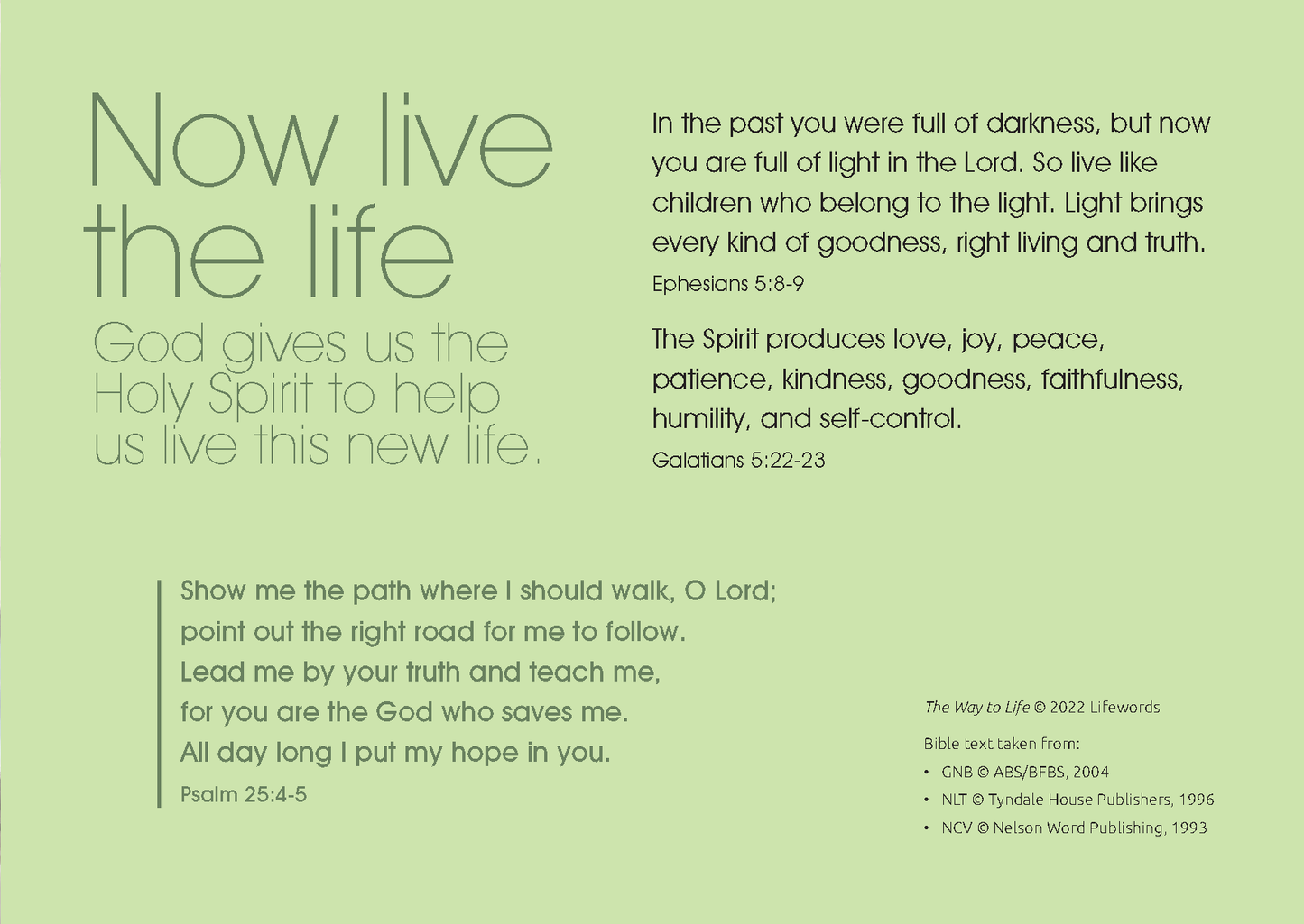 Portuguese Brazilian: The Way to Life