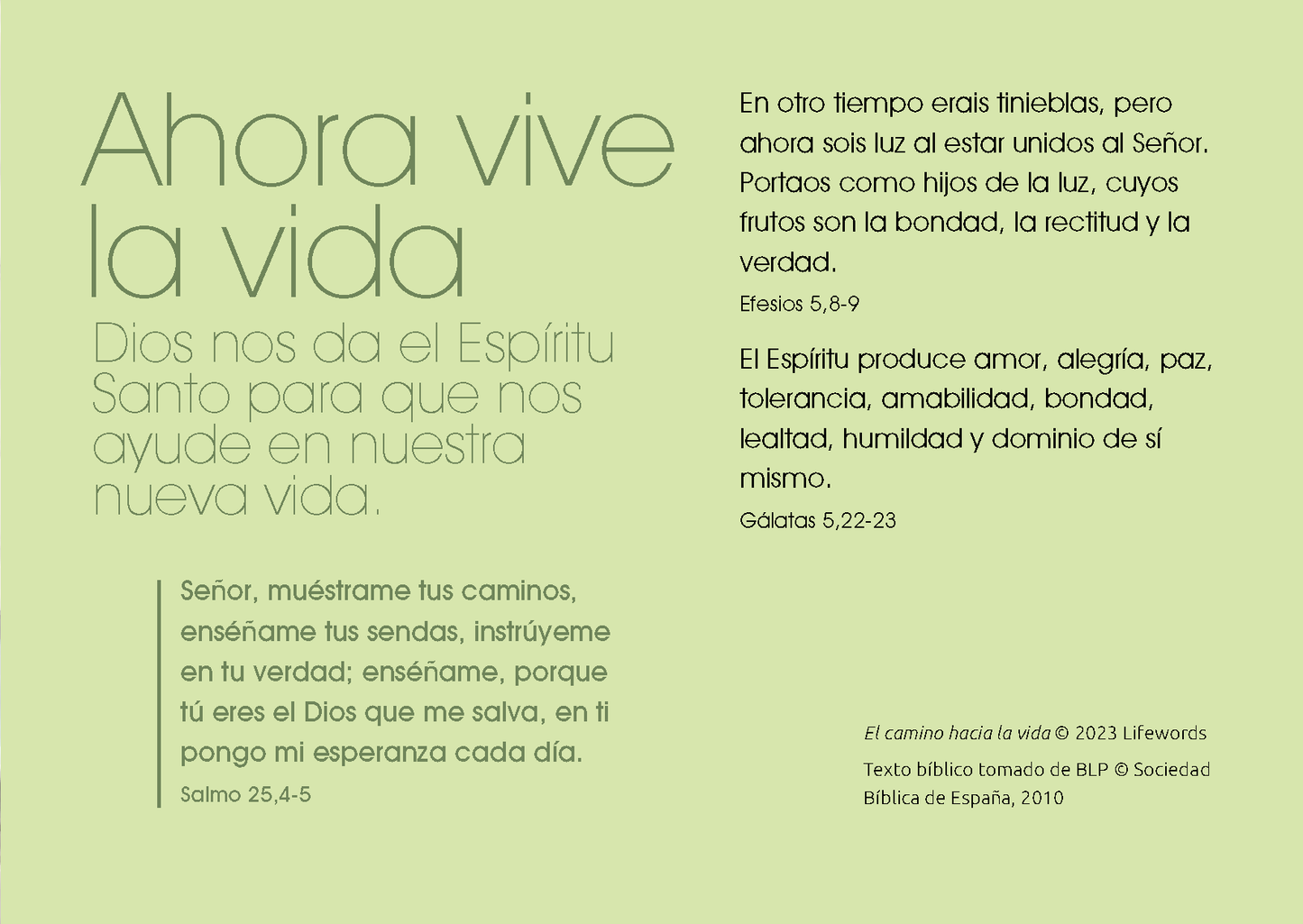 Spanish: The Way to Life