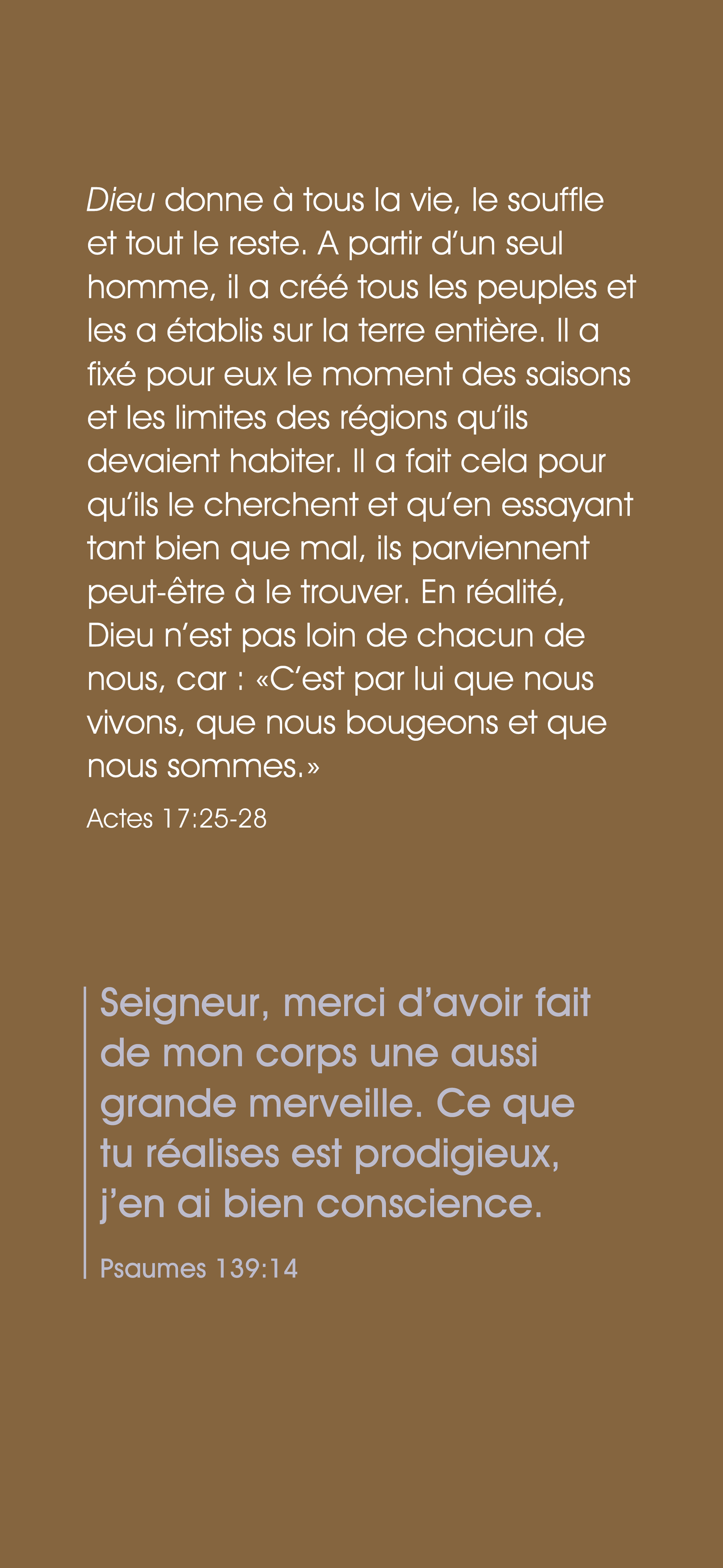 Francés: The Way to Life (móvil)