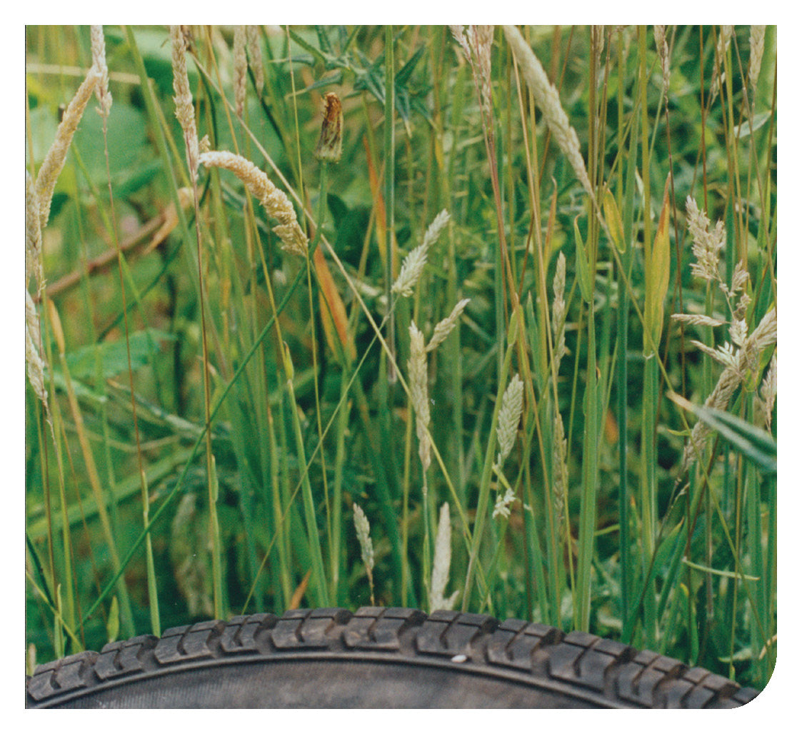 Greek: Daily Strength