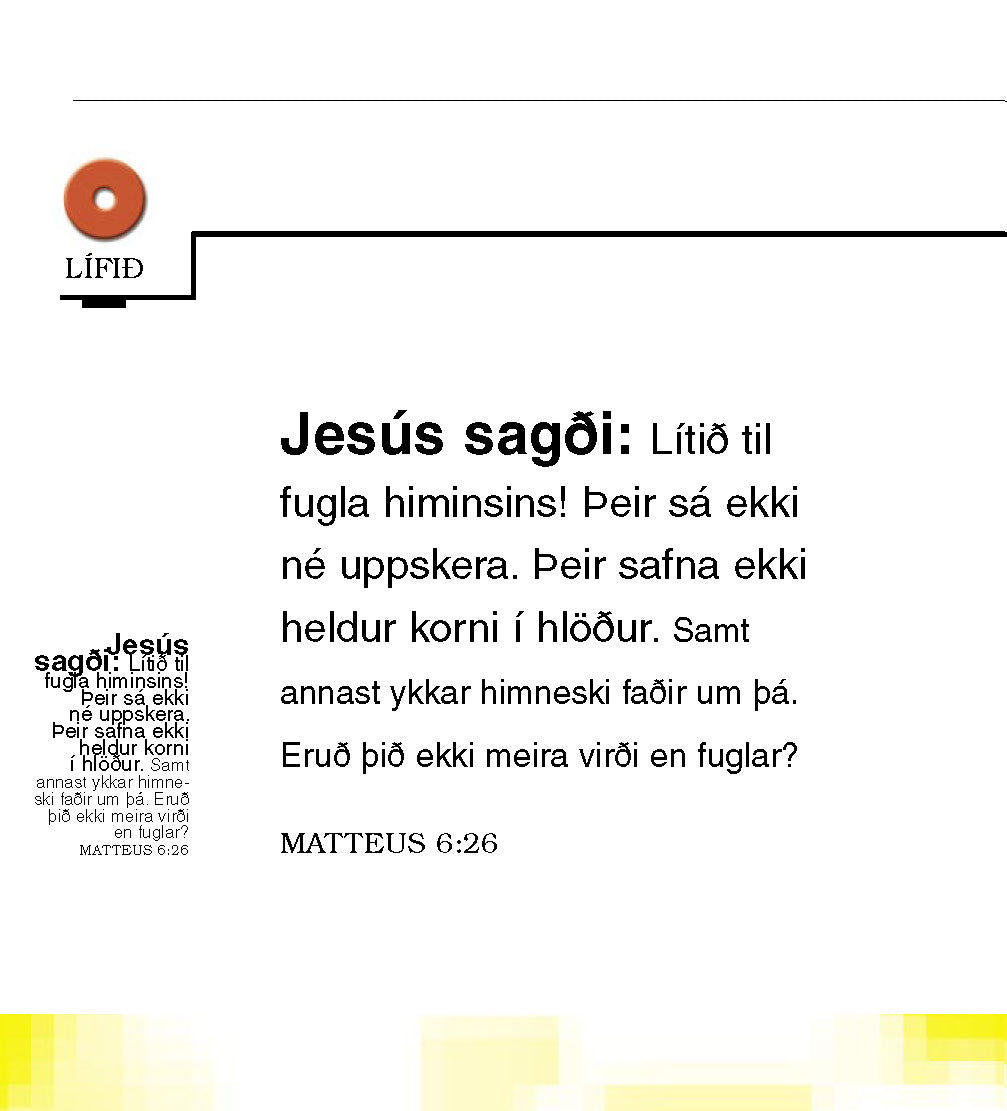 Islandzki: The Little Book of Life