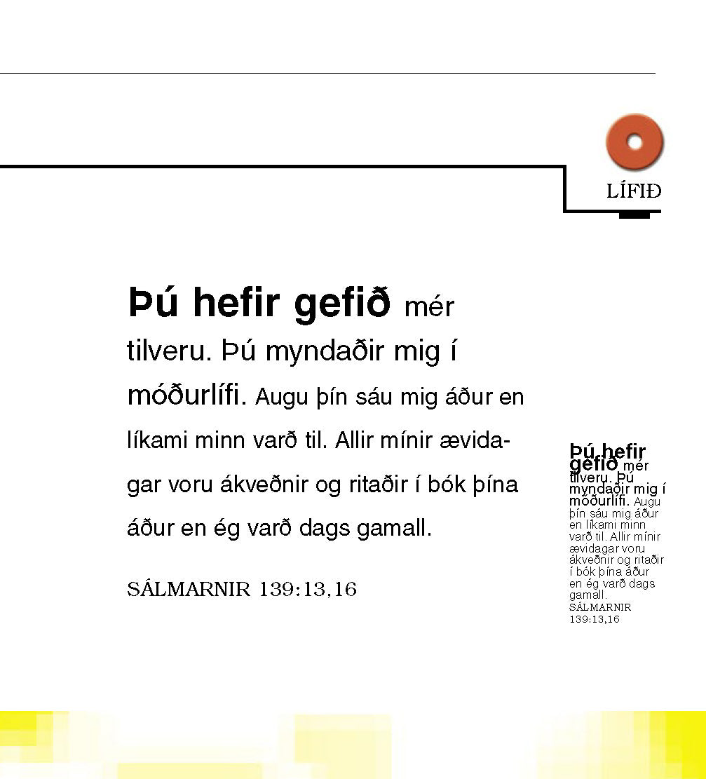 Islandzki: The Little Book of Life