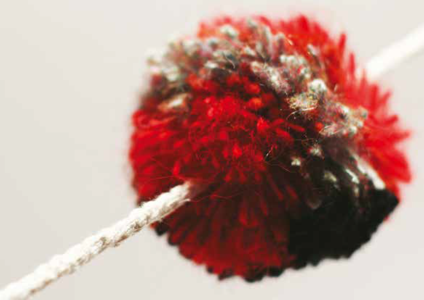 English: Encounters with Jesus