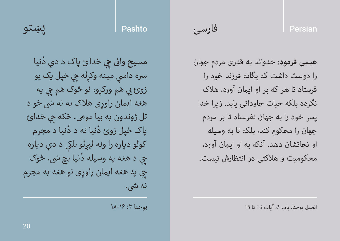 Multilingual: Love in Many Languages