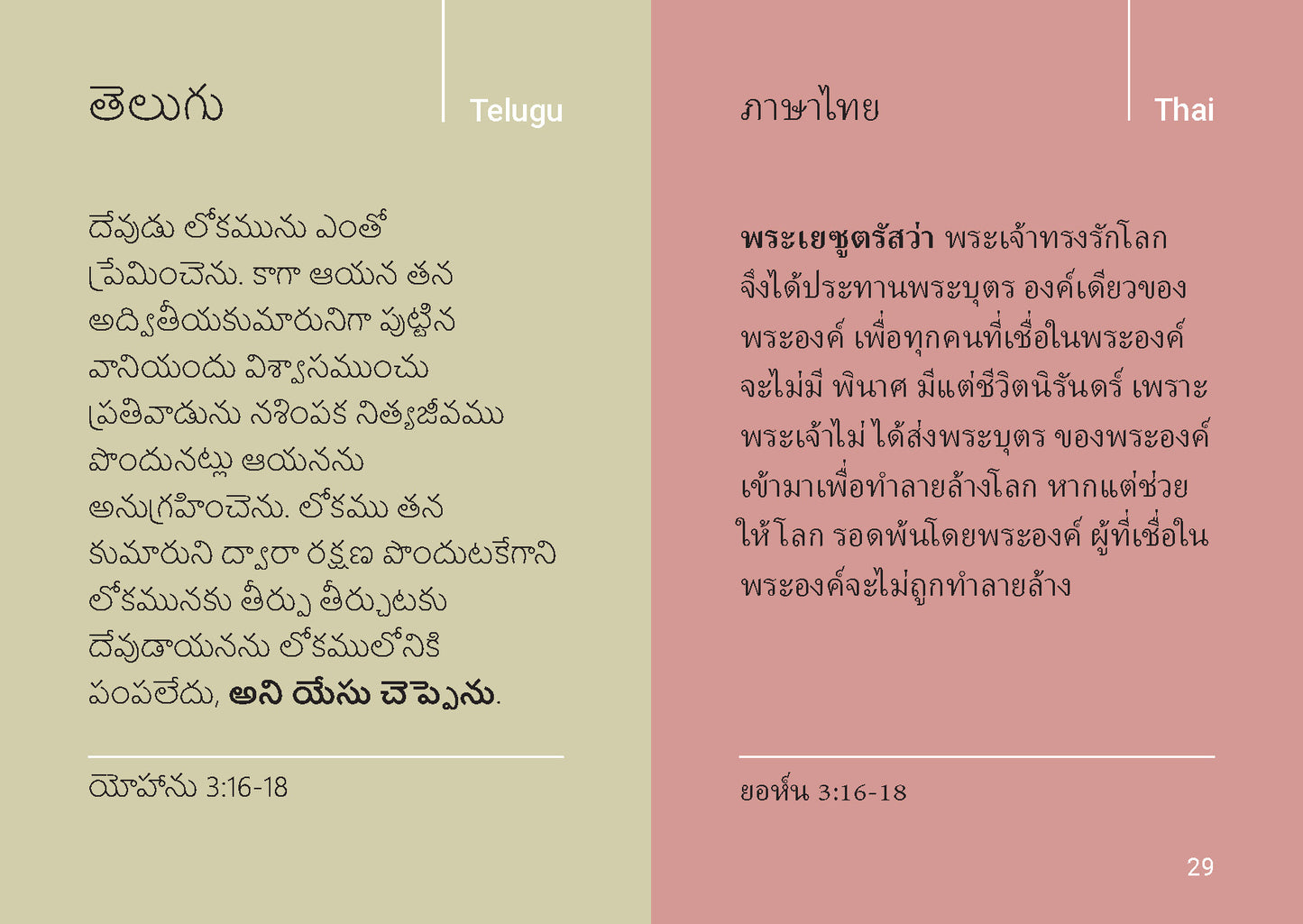 Multilingual: Love in Many Languages