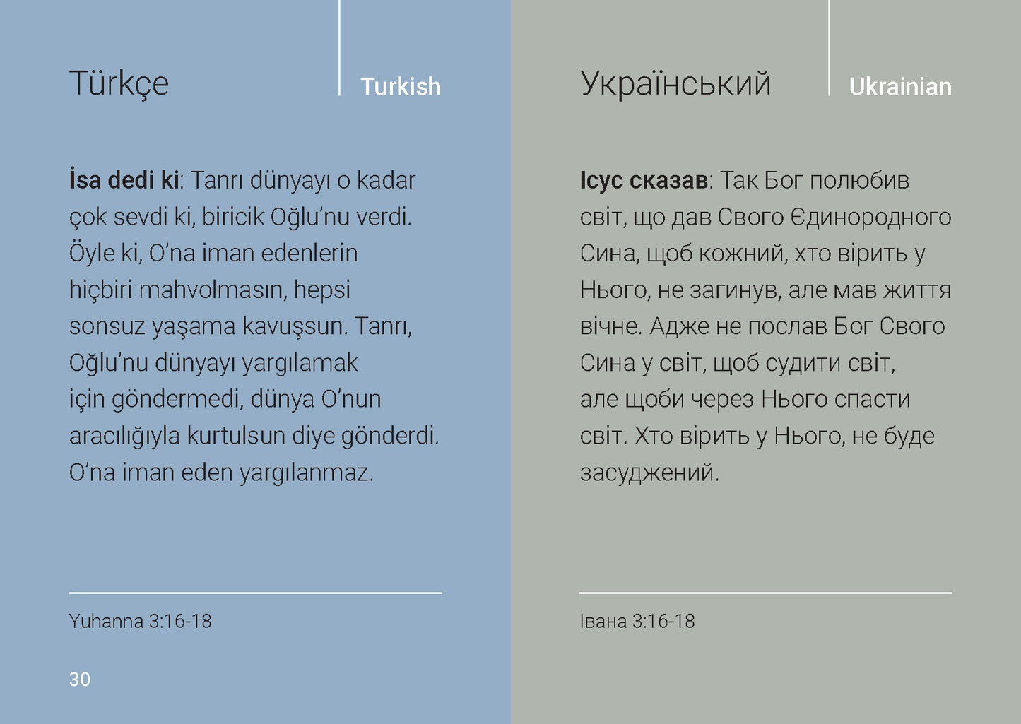 Multilingual: Love in Many Languages