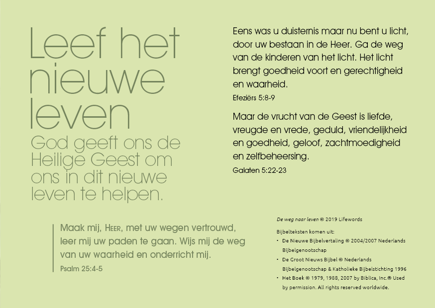 Dutch: The Way to Life