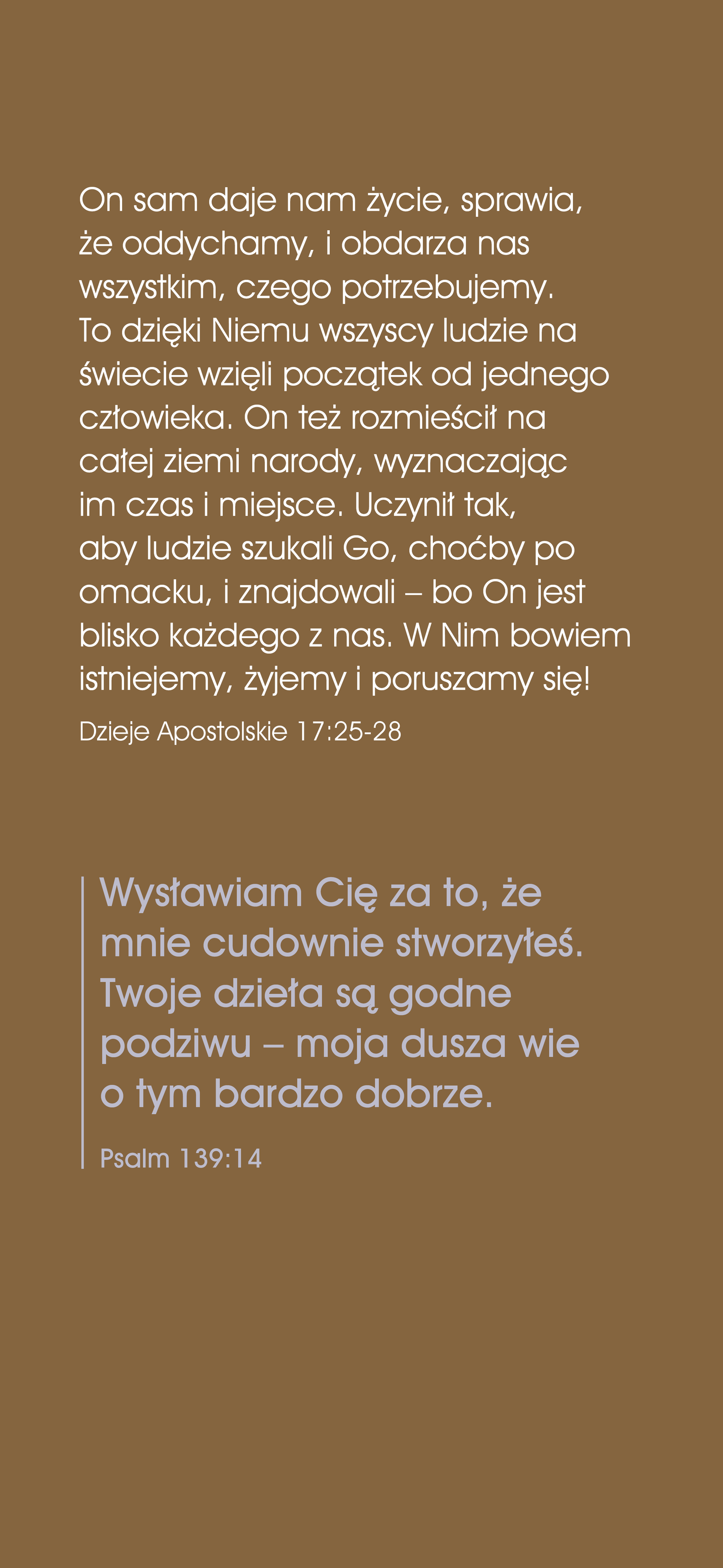 Polish: The Way to Life (smartphone)