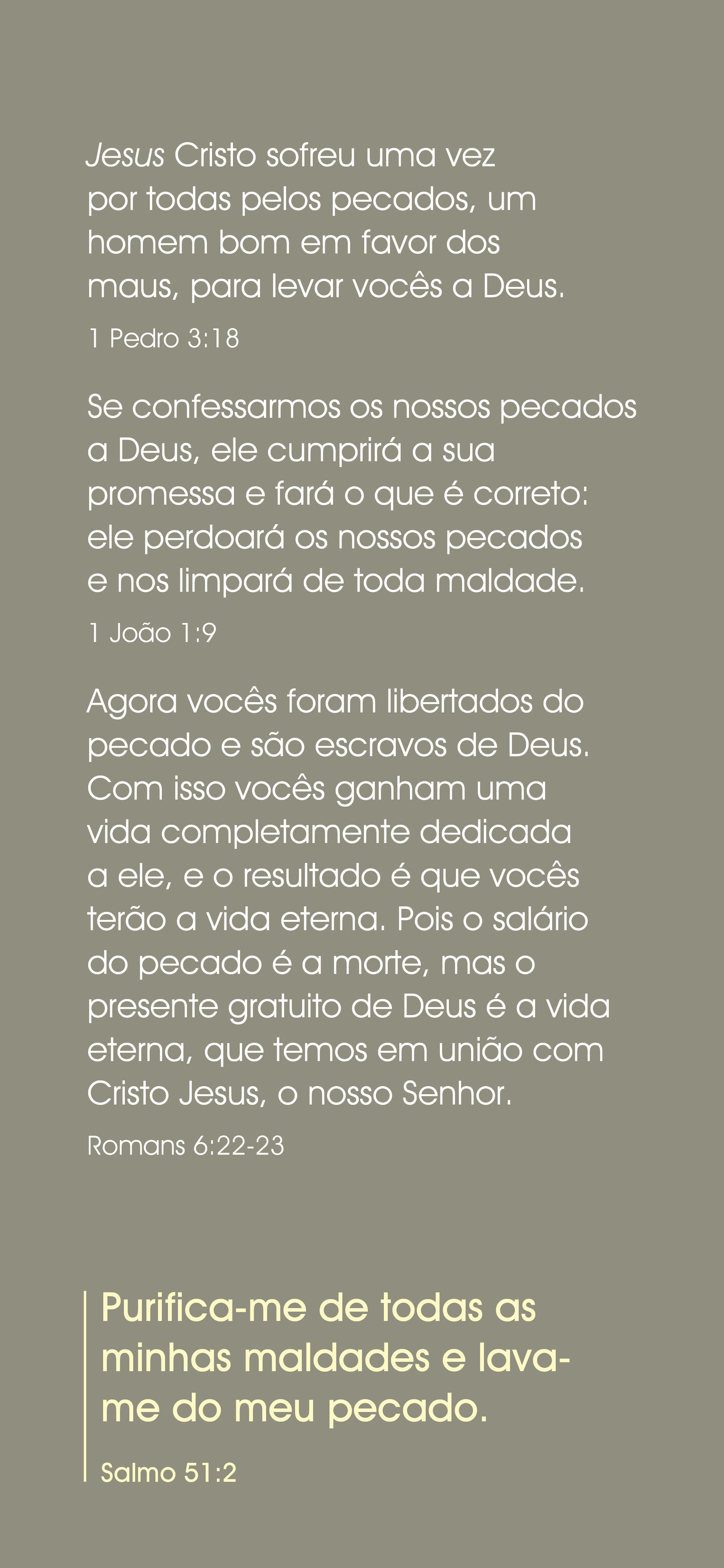 Portuguese Brazilian: The Way to Life (smartphone)