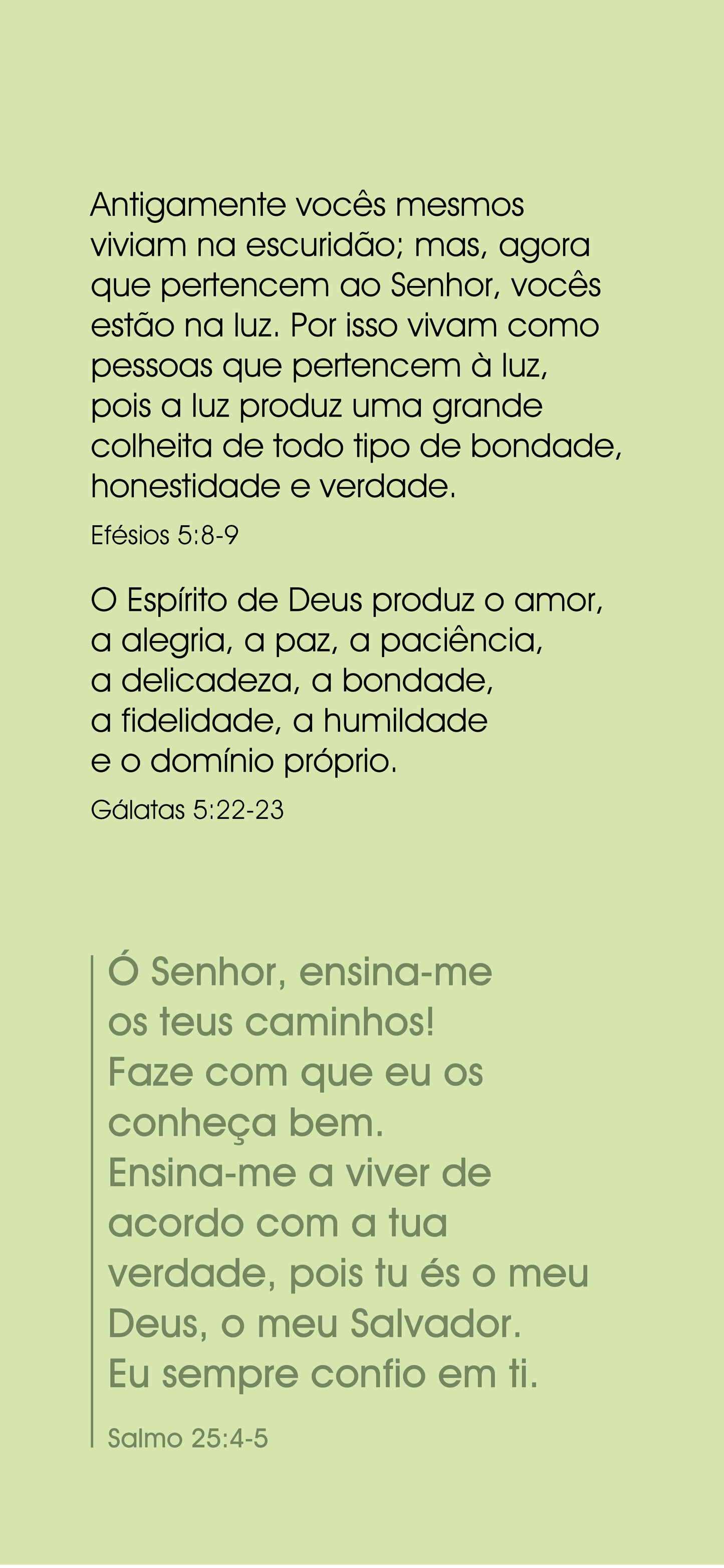 Portuguese Brazilian: The Way to Life (smartphone)