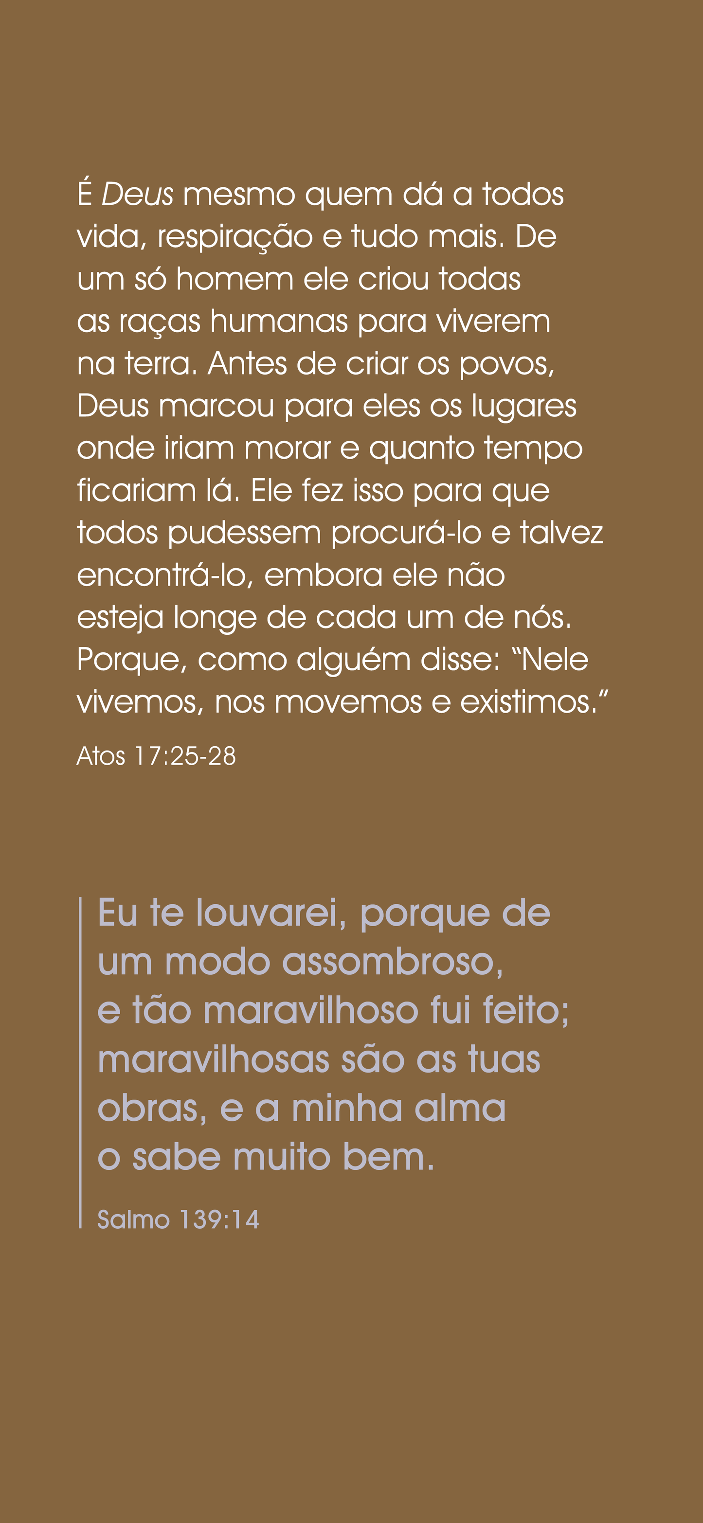 Portuguese Brazilian: The Way to Life (smartphone)