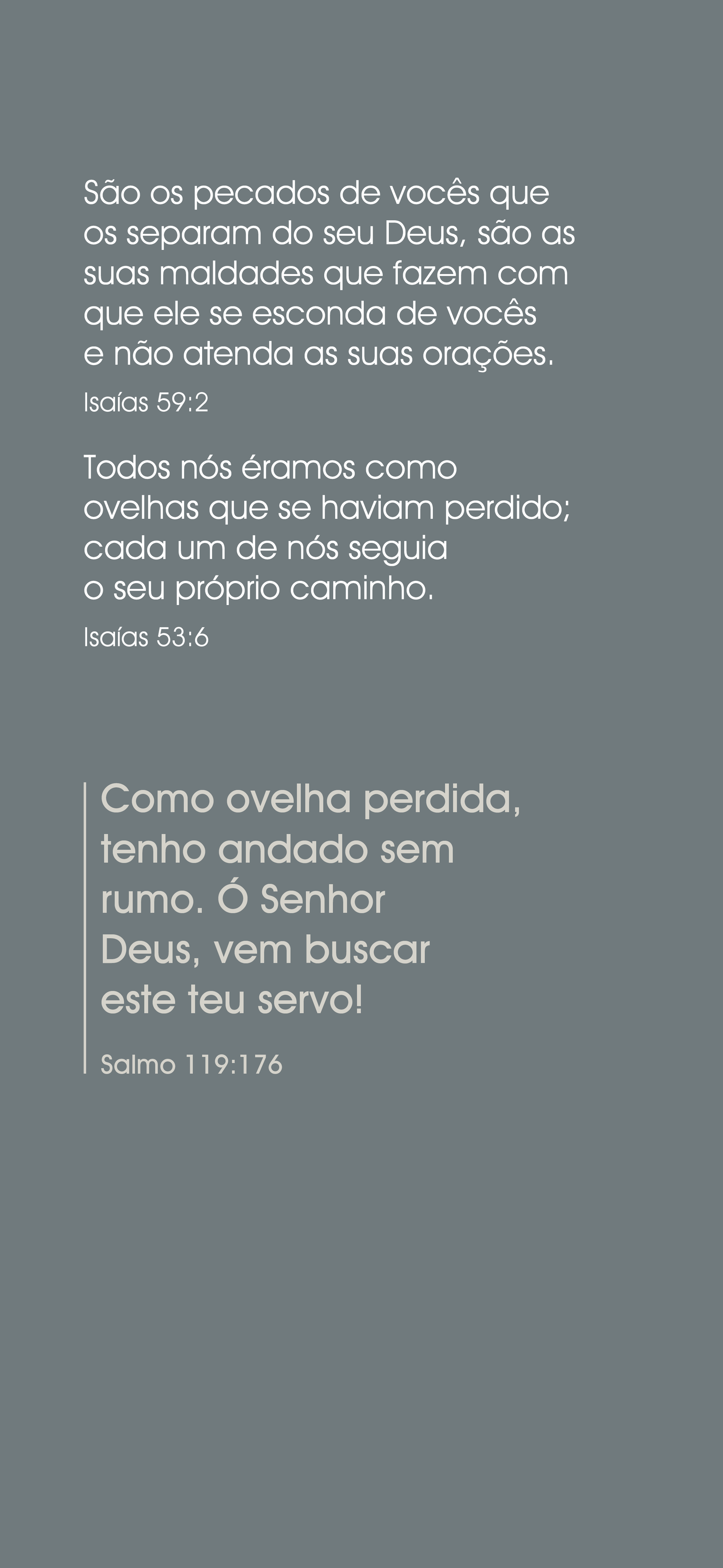 Portuguese Brazilian: The Way to Life (smartphone)