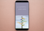 Portuguese Brazilian: The Way to Life (smartphone)