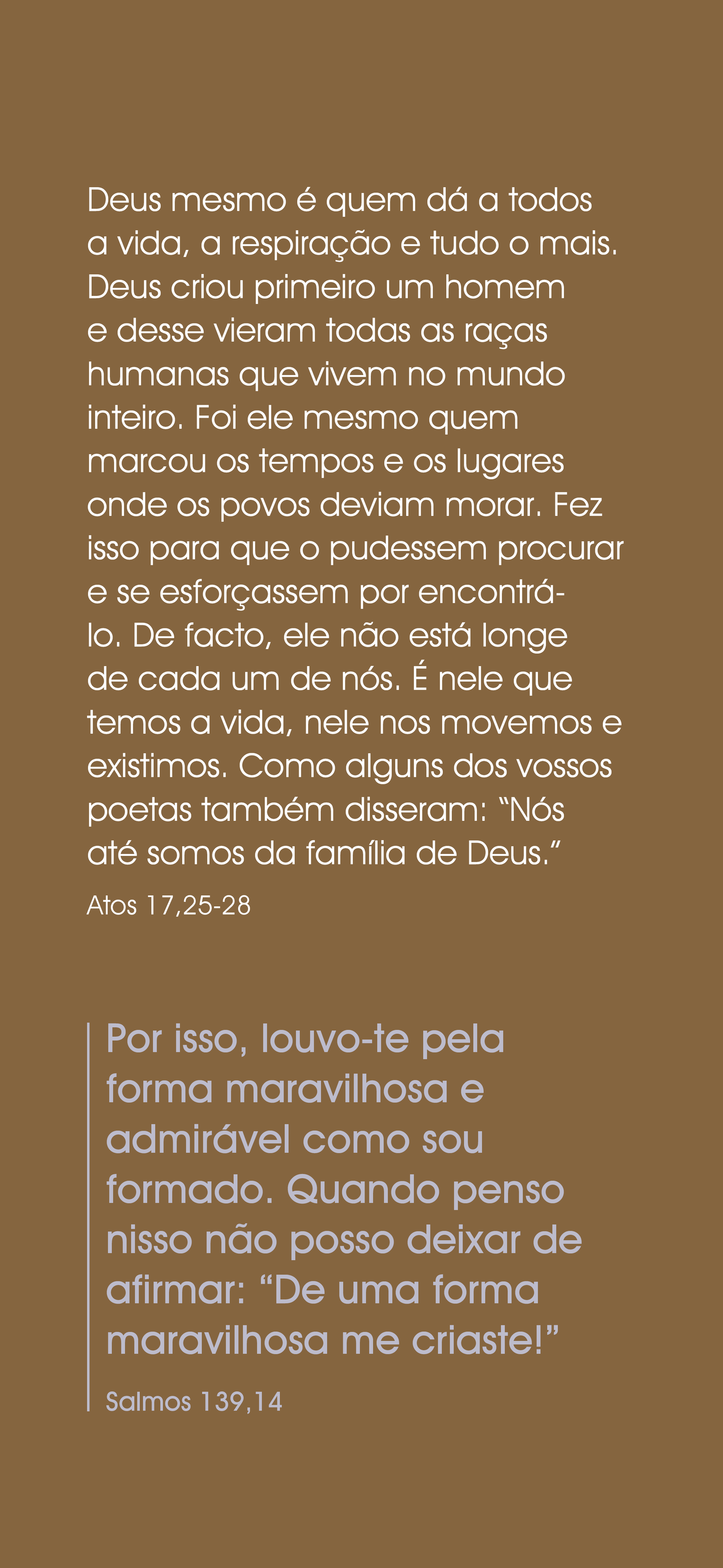 Portugués europeo: The Way to Life (móvil)