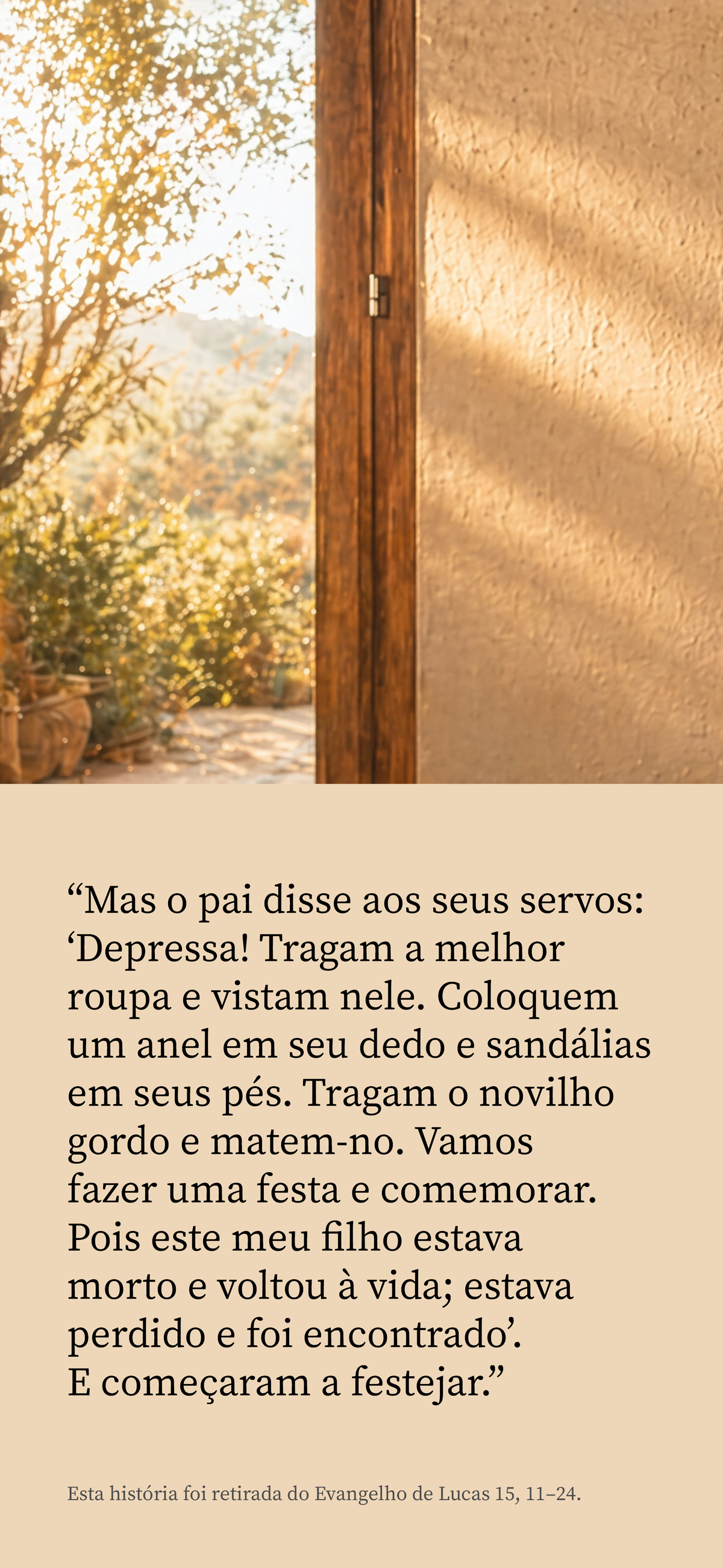Portuguese Brazilian: Found (móvil)