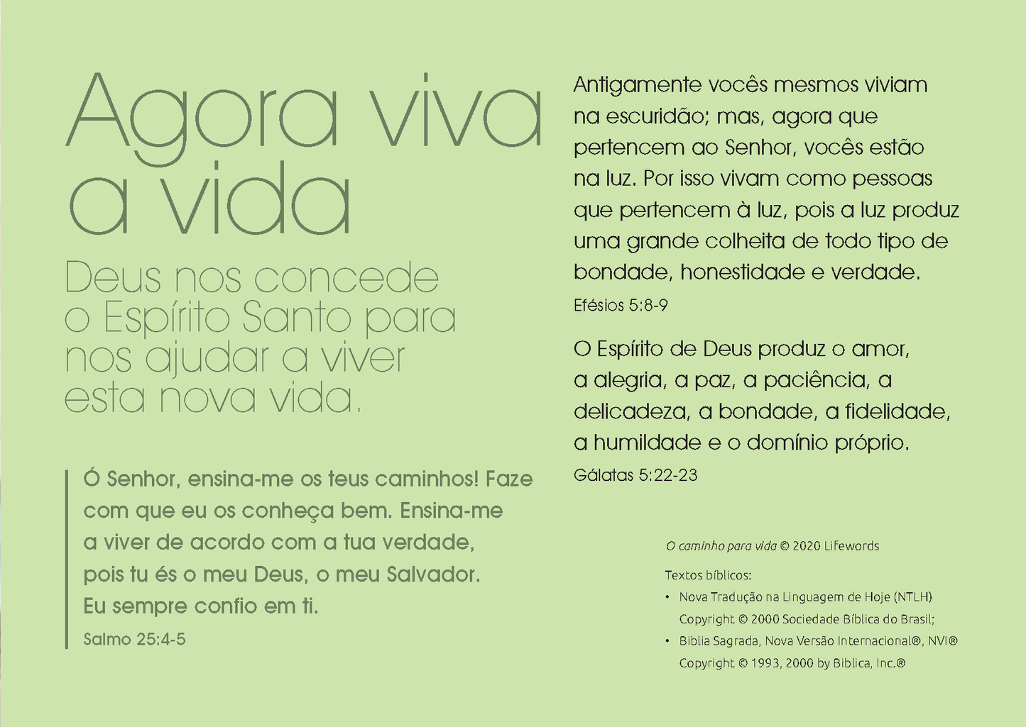 Portugalski brazylijski: The Way to Life