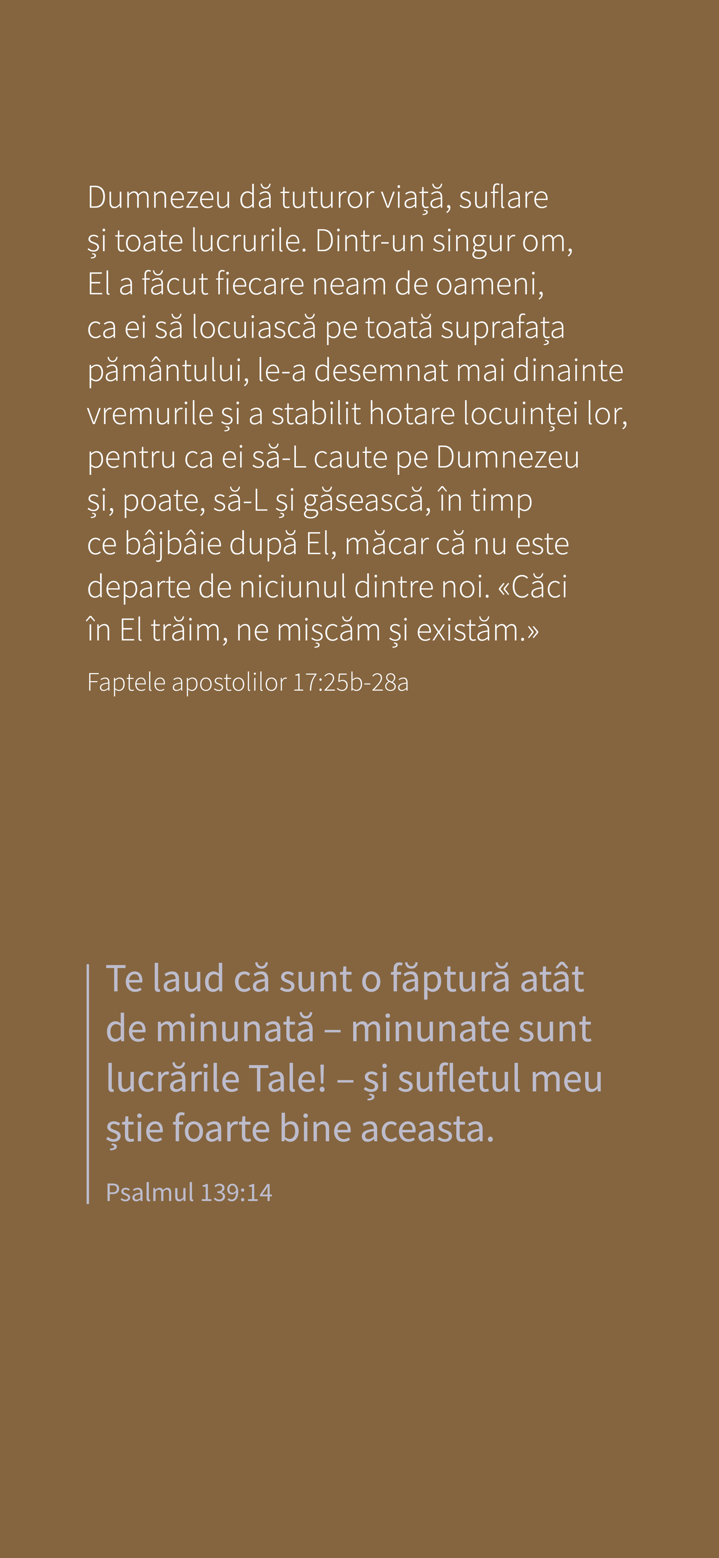 Rumuński: The Way to Life (smartfon)