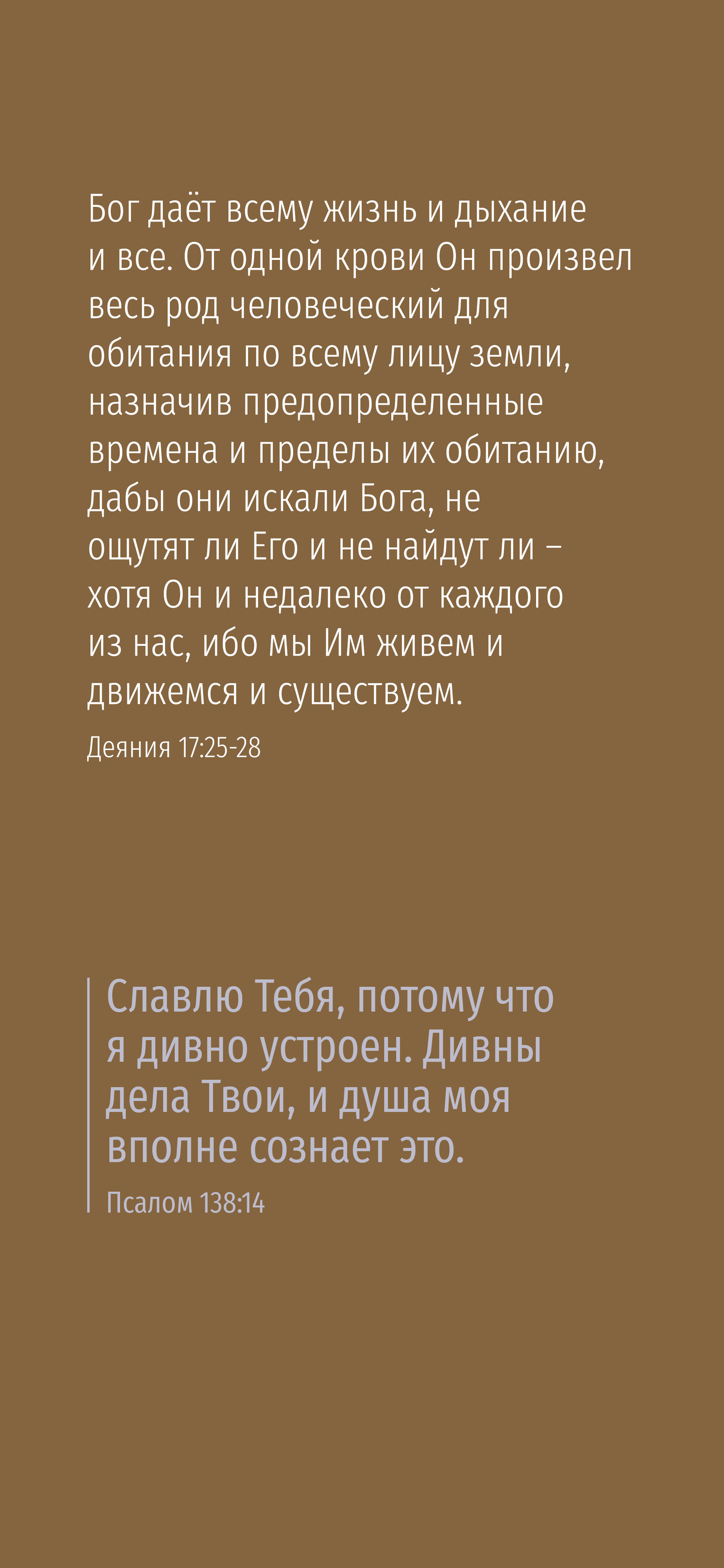 Russe : The Way to Life (mobile)