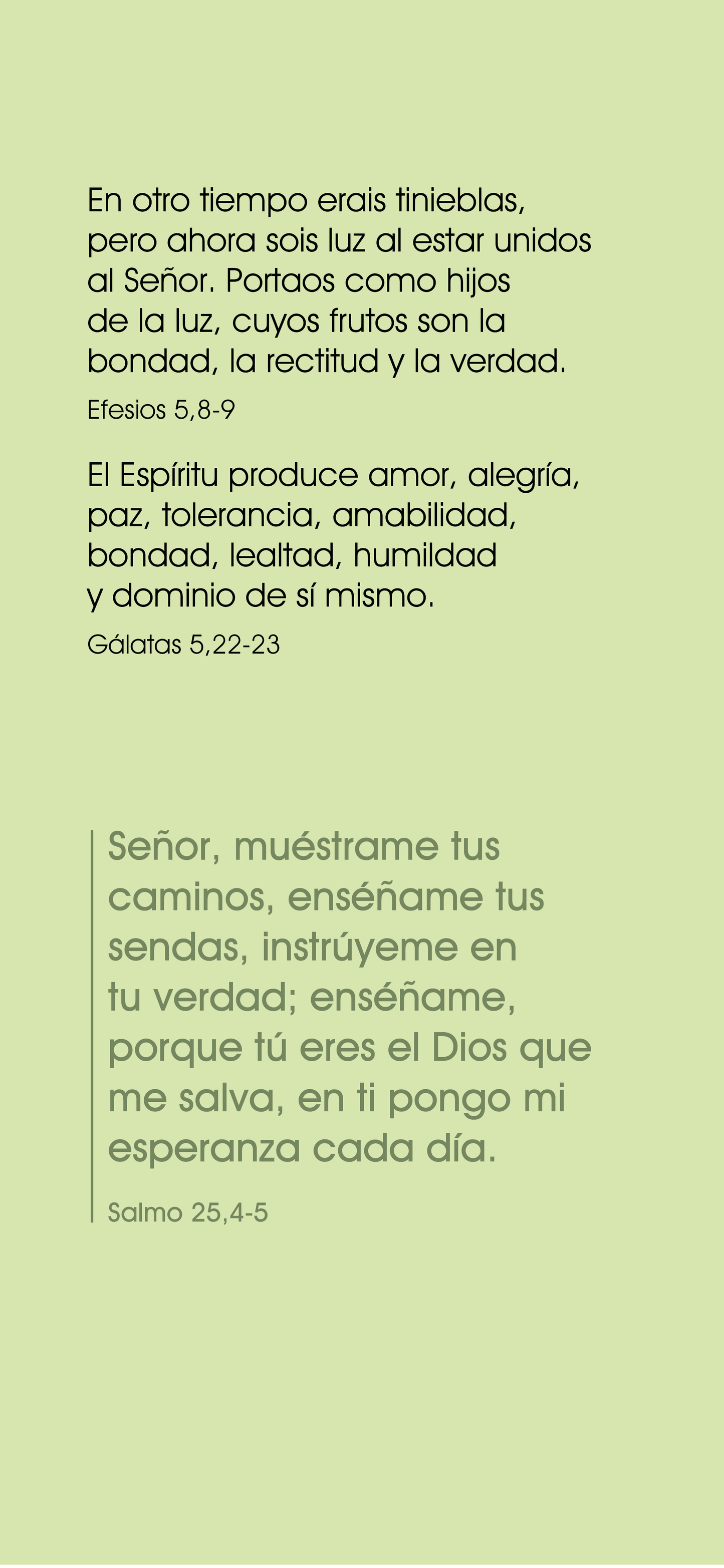 Espanhol: The Way to Life (móvel)
