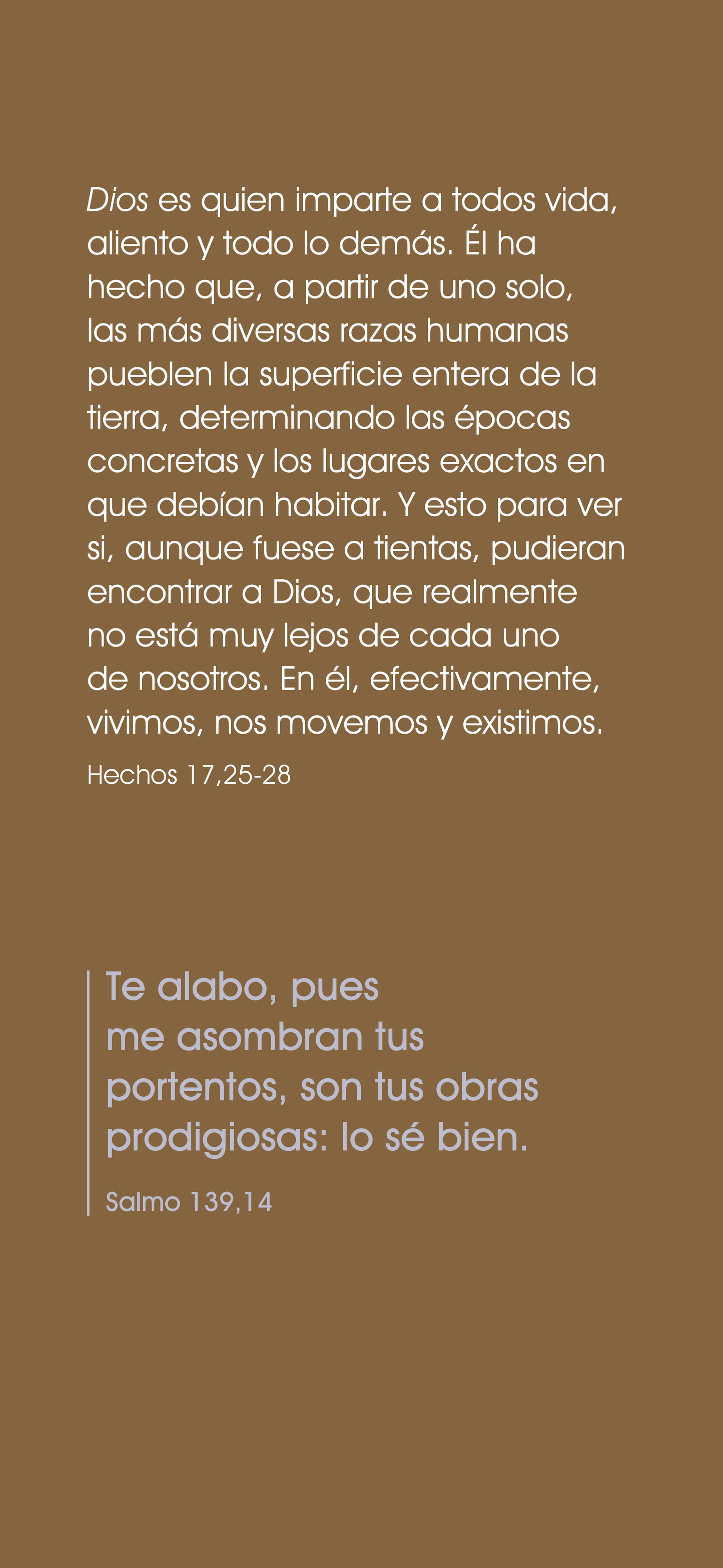 Espanhol: The Way to Life (móvel)