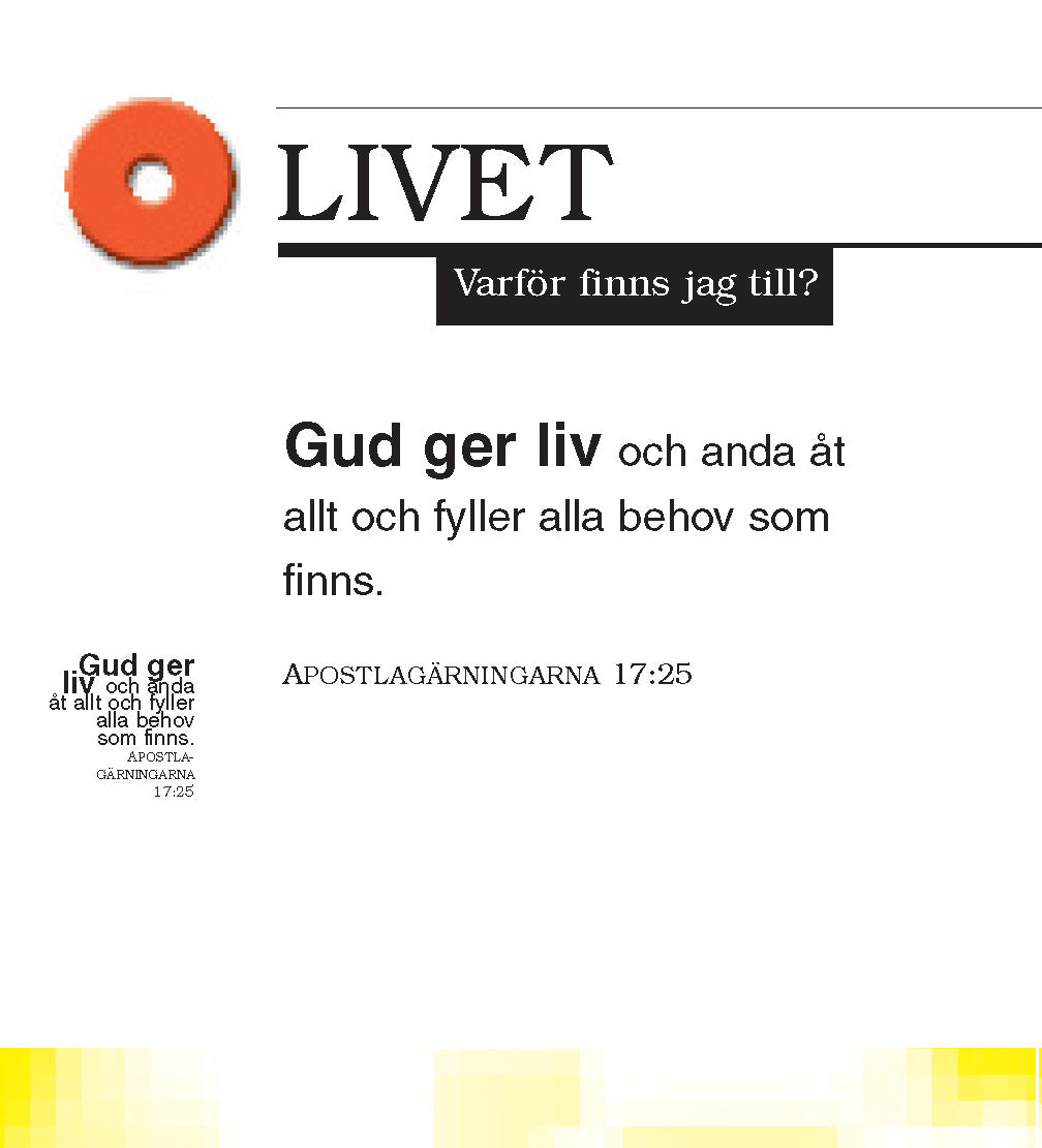 Sueco: The Little Book of Life