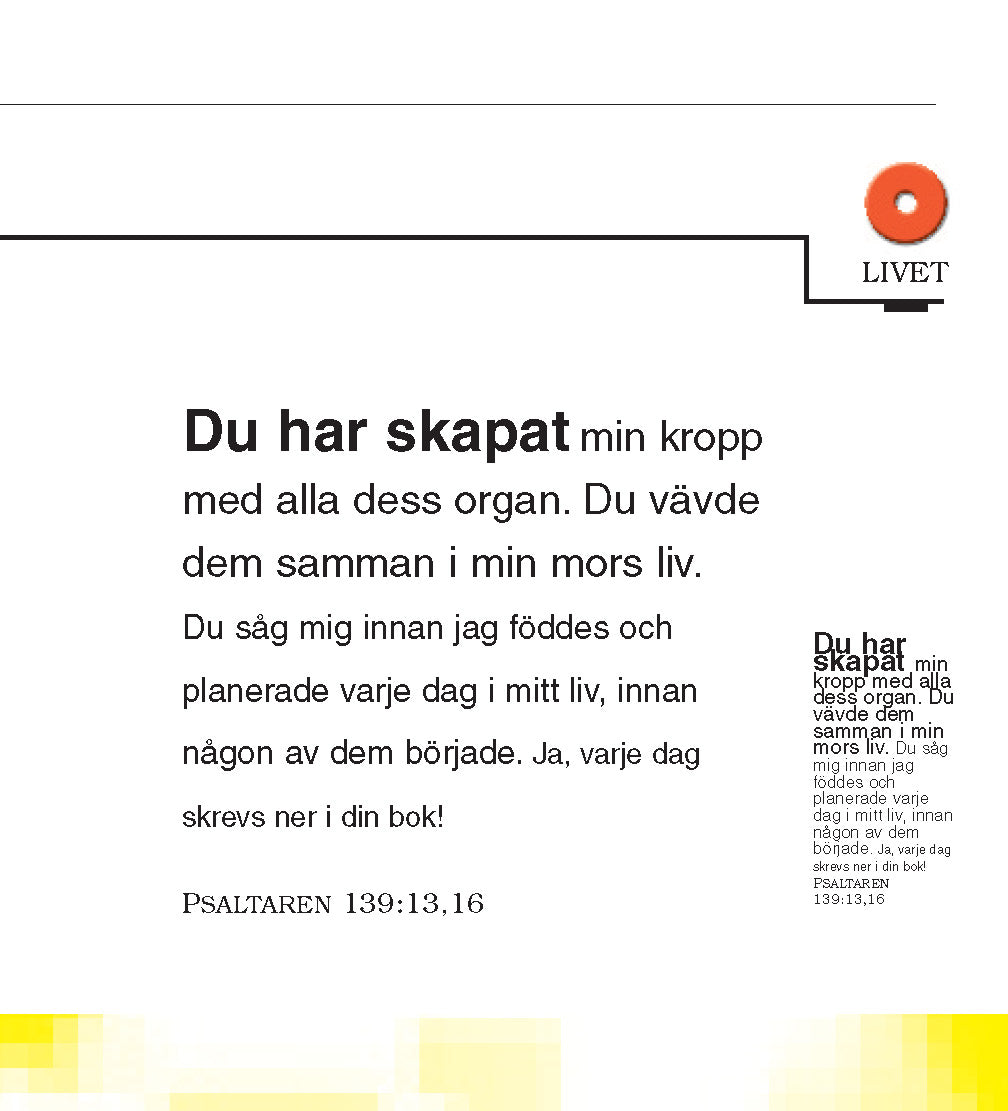 Sueco: The Little Book of Life