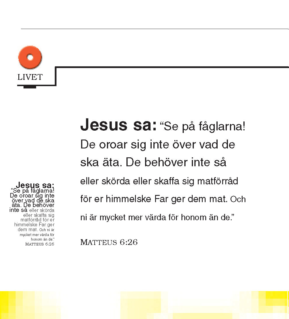 Sueco: The Little Book of Life