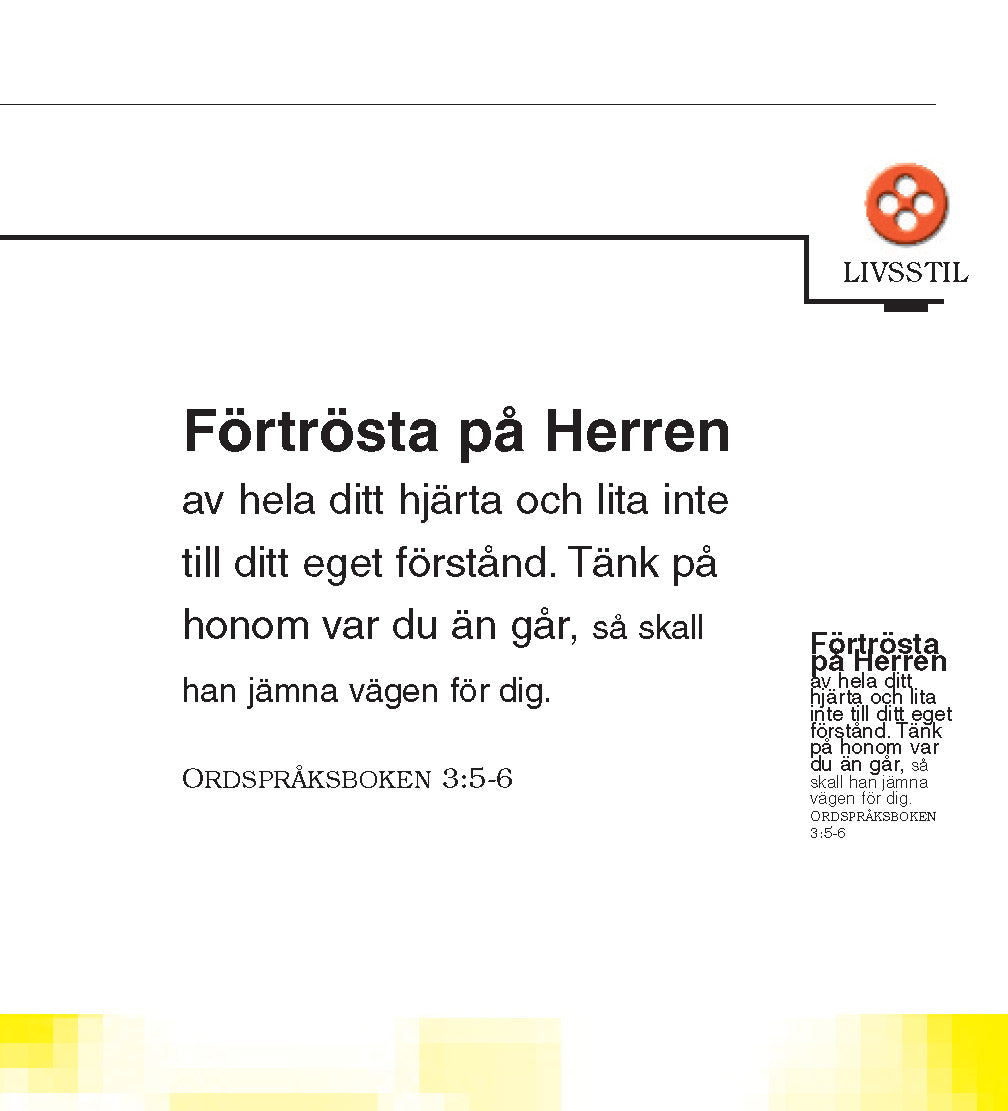 Sueco: The Little Book of Life