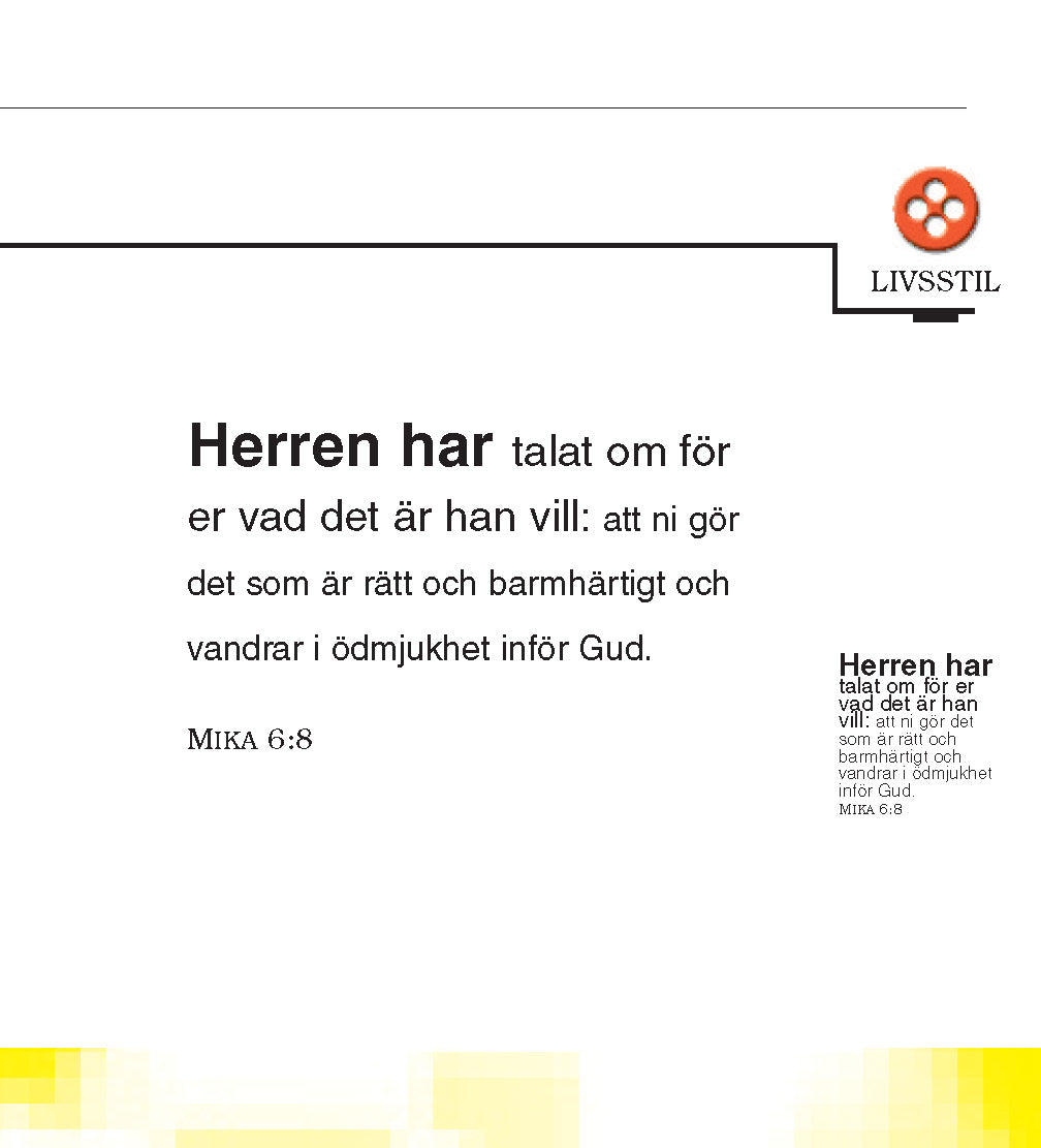 Sueco: The Little Book of Life