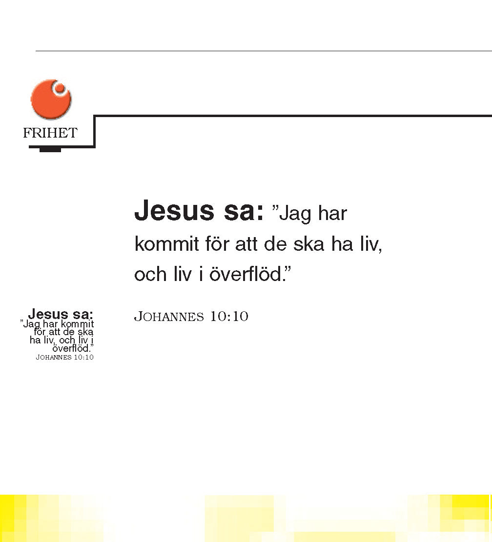 Sueco: The Little Book of Life