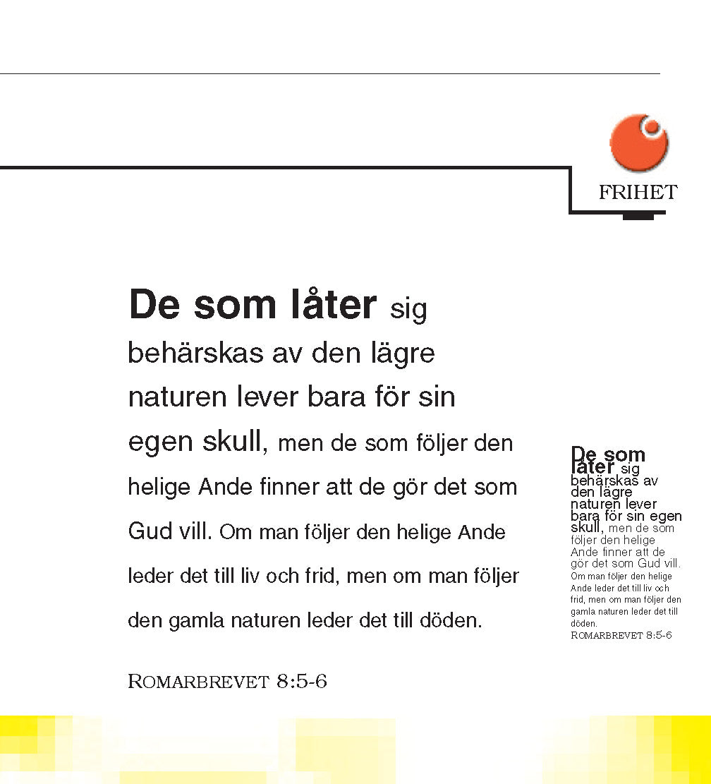 Sueco: The Little Book of Life