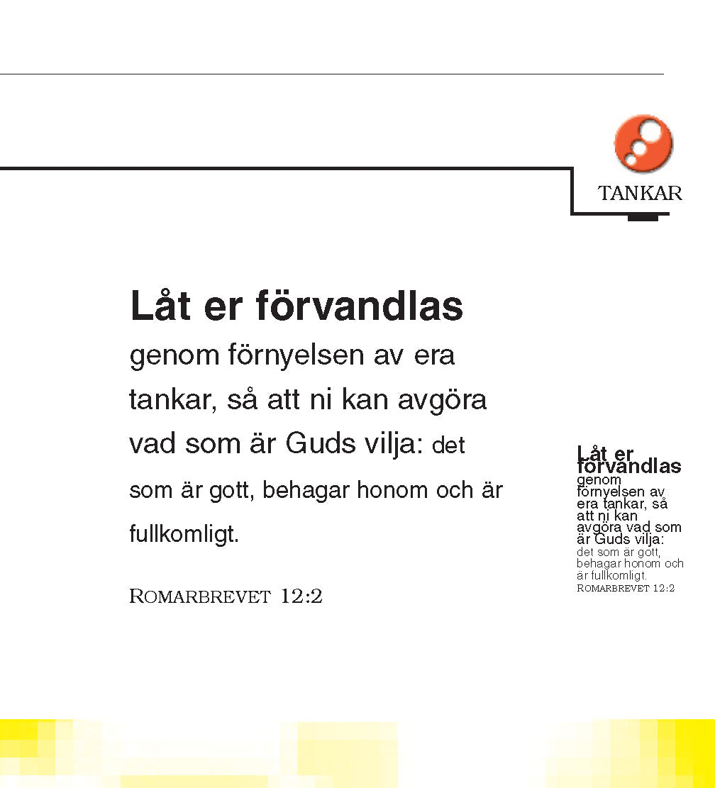 Sueco: The Little Book of Life