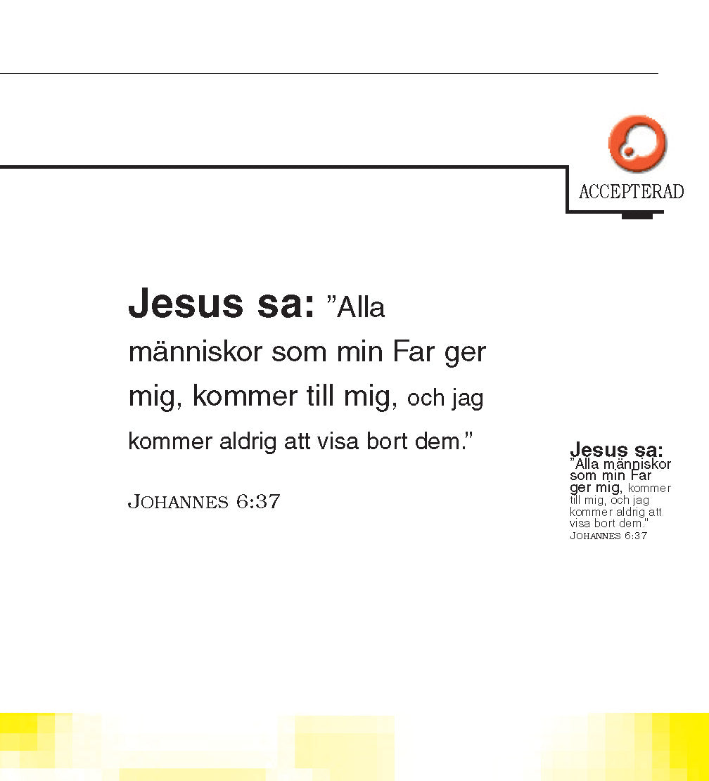 Sueco: The Little Book of Life