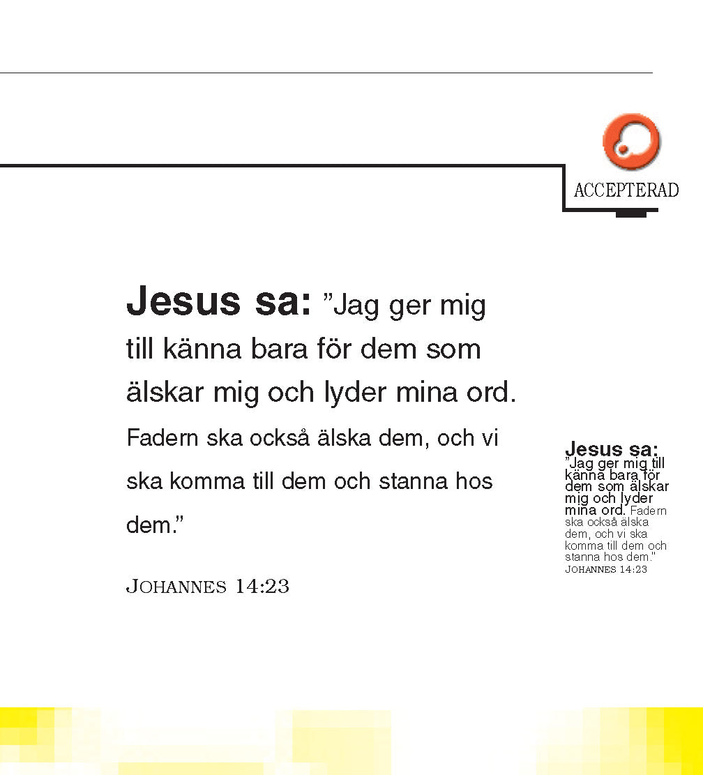 Sueco: The Little Book of Life