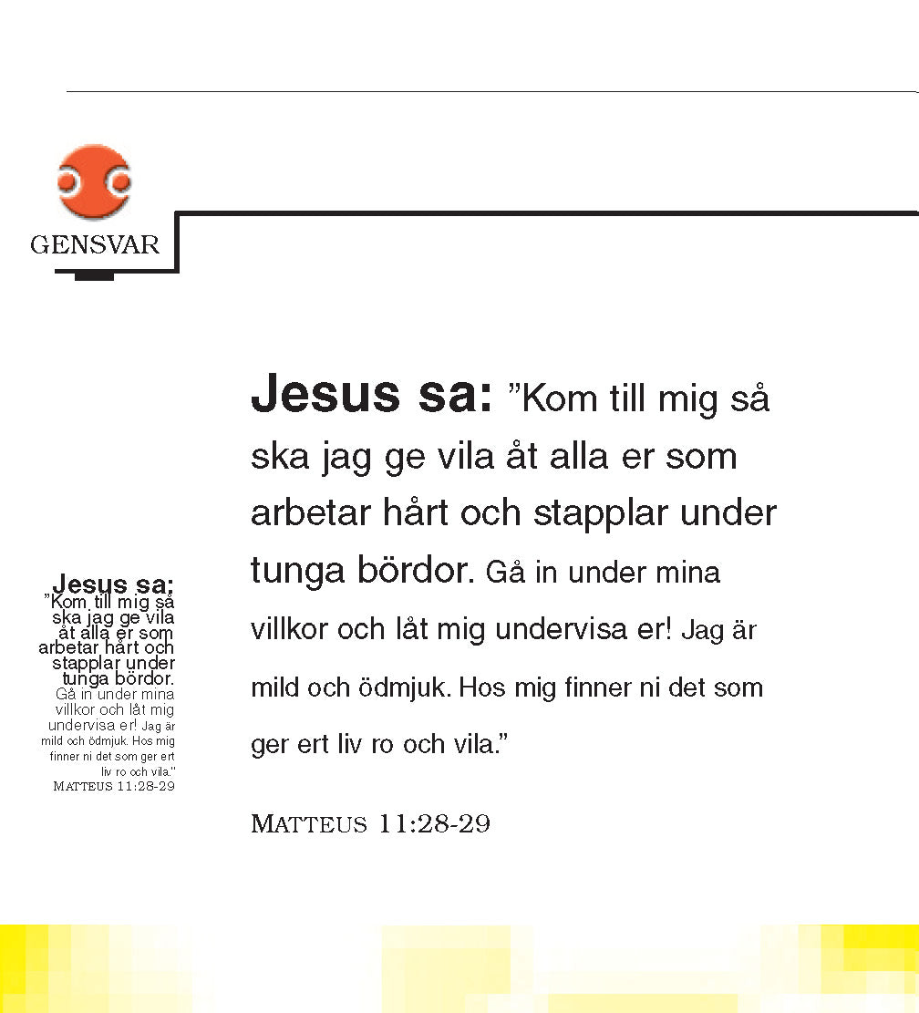 Sueco: The Little Book of Life