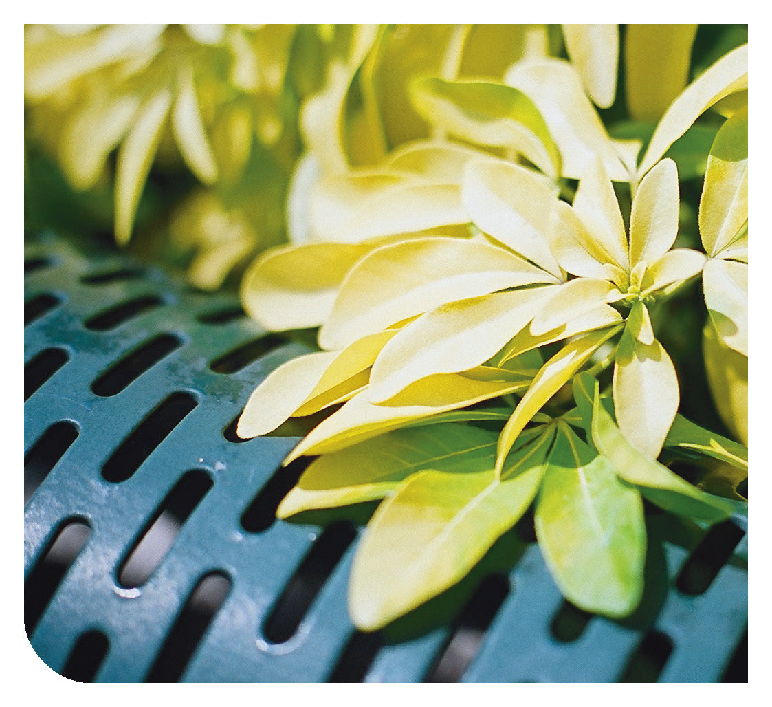 Turkish: Daily Strength