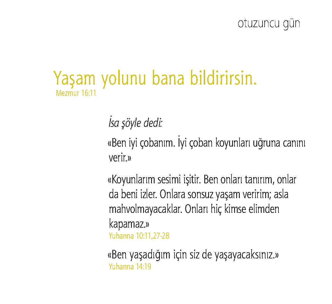 Turkish: Daily Strength