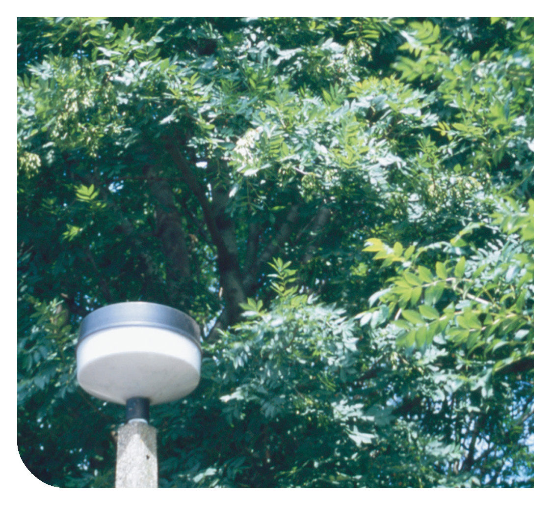 Turkish: Daily Strength