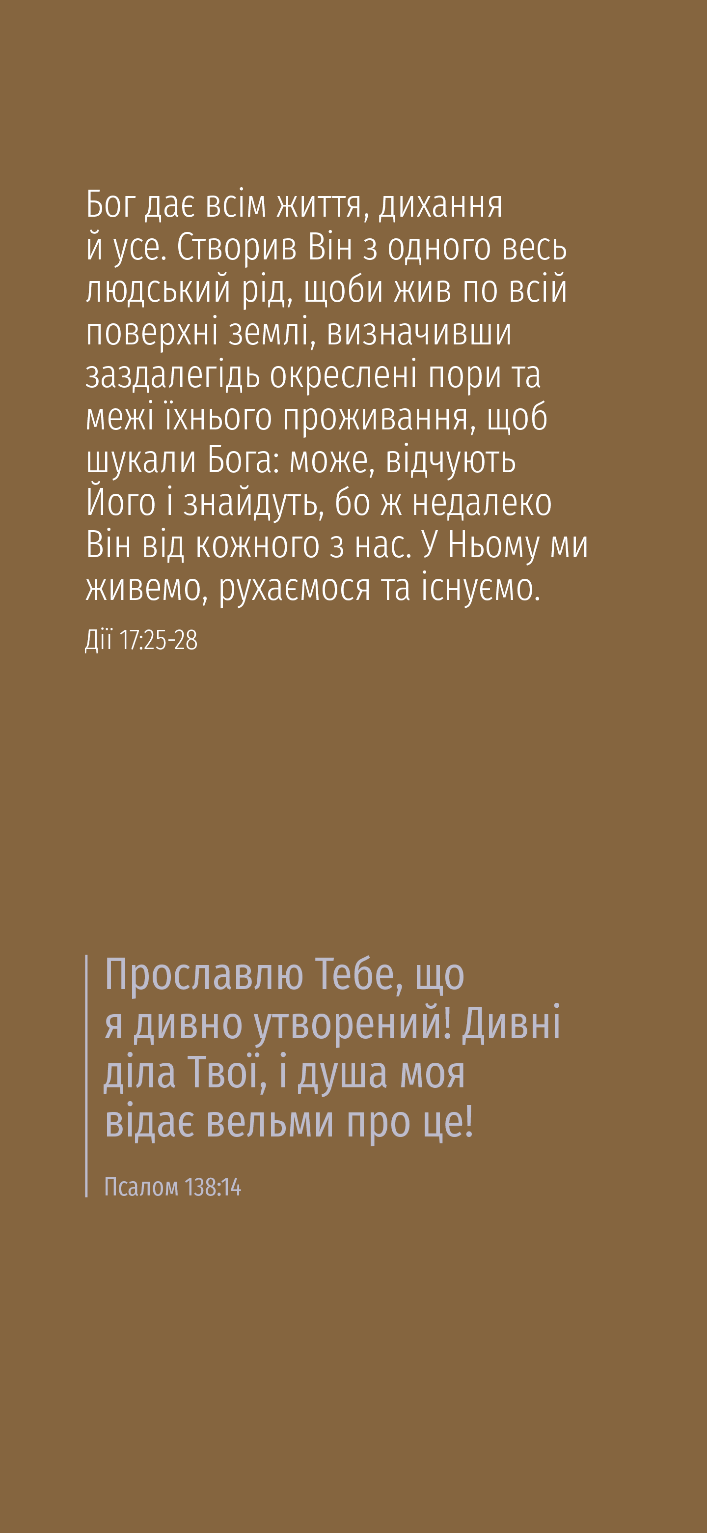 Ucraniano: The Way to Life (móvil)