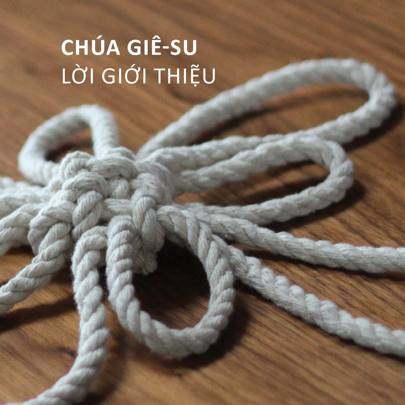 Vietnamese: Jesus. An introduction