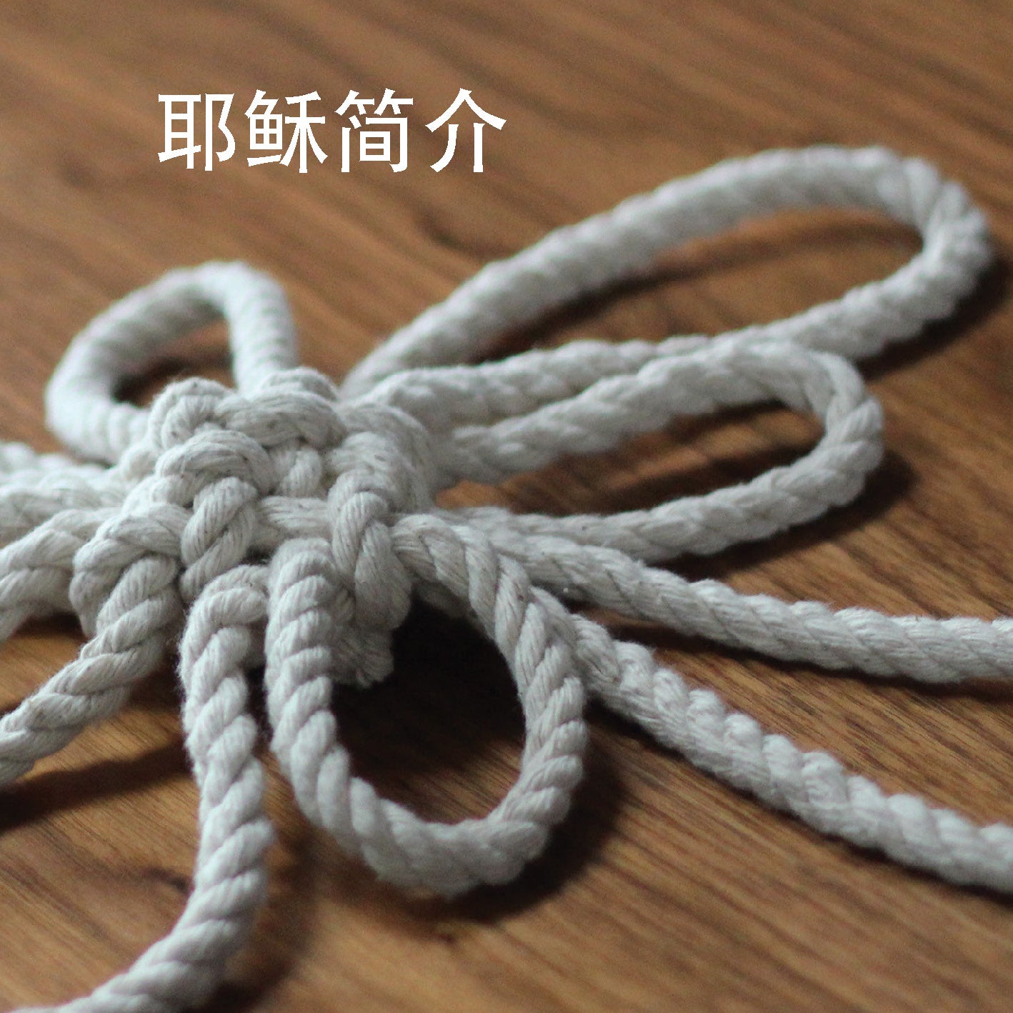 Chinese Simplified: Jesus. An introduction