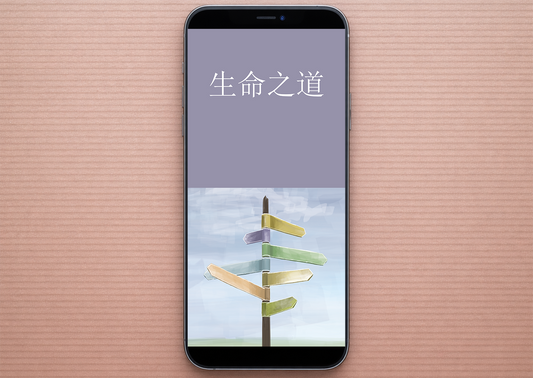 Chinese Simplified: The Way to Life (smartphone)